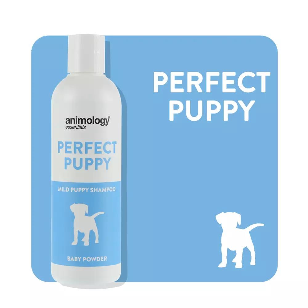 ANIMOLOGY ESSENTIALS PERFECT PUPPY SHAMPOO PARA CACHORROS 250ML