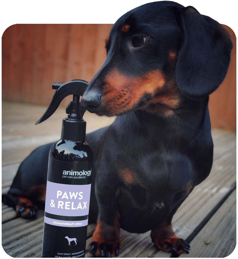 ANIMOLOGY PAWS & RELAX SPRAY AROMATERAPIA 250ML