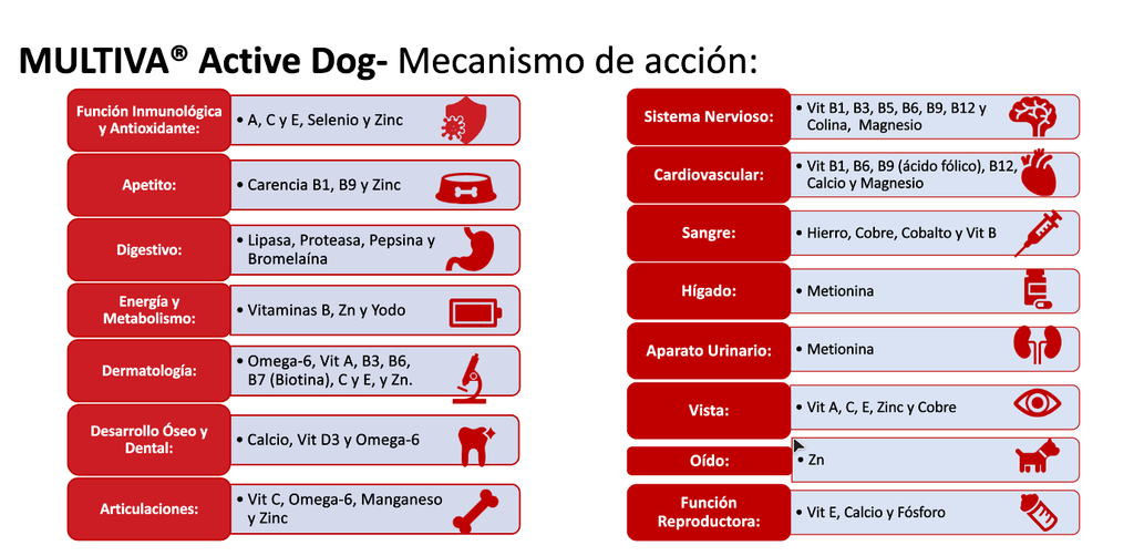 MULTIVA ACTIVE DOG 45UN