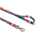 CACHORREIROS SUPER GUIA CORREA GRANDE DOGE