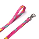 CACHORREIROS GUIA BABY CORREA CHICA OLIVIA