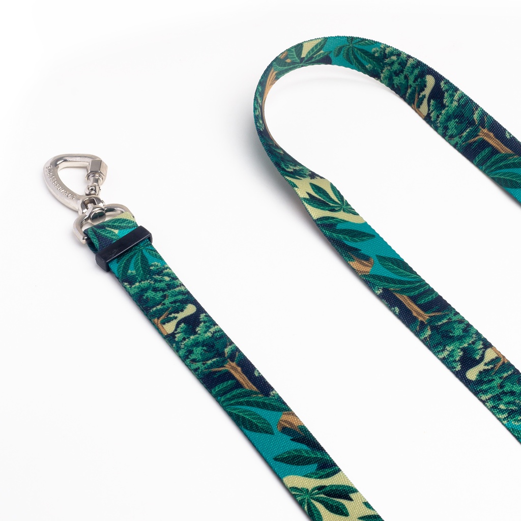 CACHORREIROS GUIA RUNNING CORREA RUNNING SAMAUMA