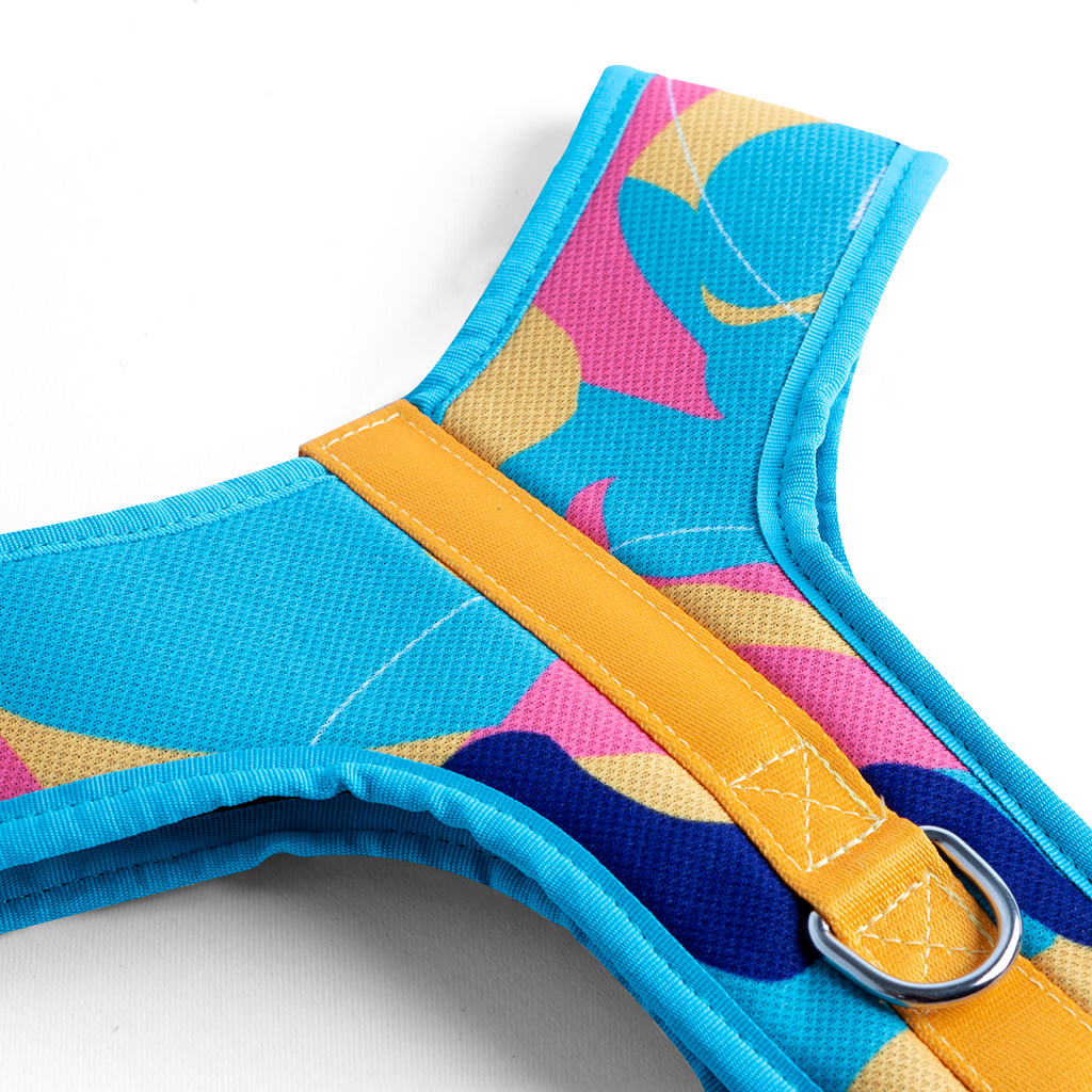 CACHORREIROS ARNES FLOW DOGE TALLA GG - XL