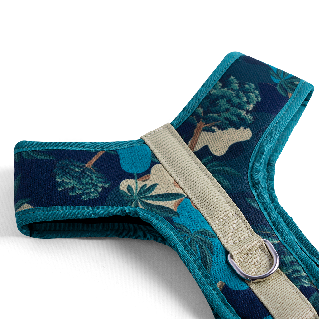 CACHORREIROS ARNES FLOW SAMAUMA TALLA M