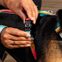 CACHORREIROS ARNÉS ANTITIRONES PITAYA TALLA M