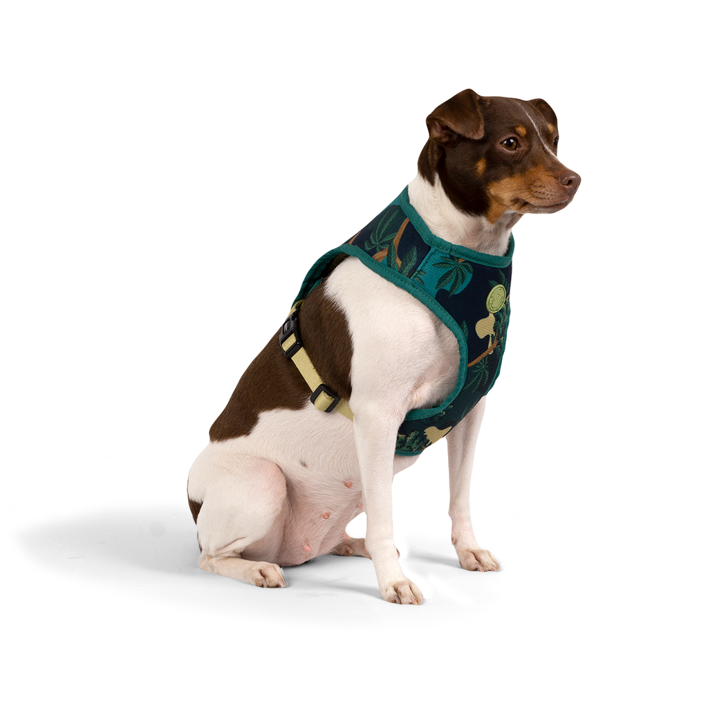 CACHORREIROS ARNES FLOW SAMAUMA TALLA G - L