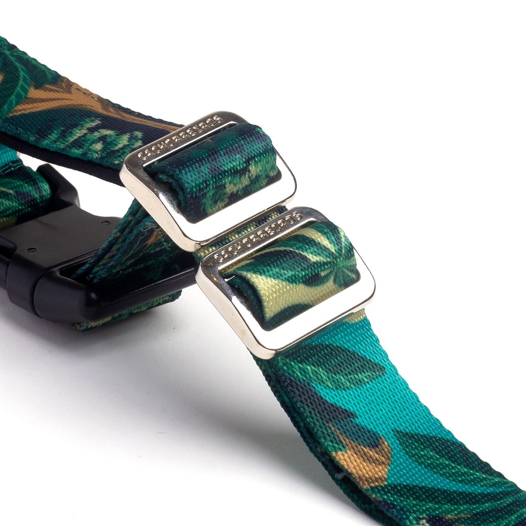 CACHORREIROS GUIA RUNNING CORREA RUNNING SAMAUMA