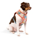 CACHORREIROS ARNES FLOW DOGE TALLA P - S