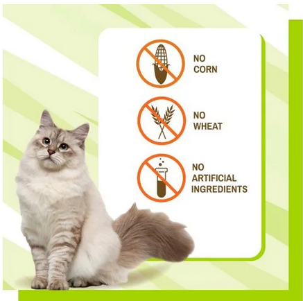 CLEAN SCAT 45UN (67,5G)