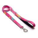 CACHORREIROS SUPER GUIA CORREA GRANDE OLIVIA