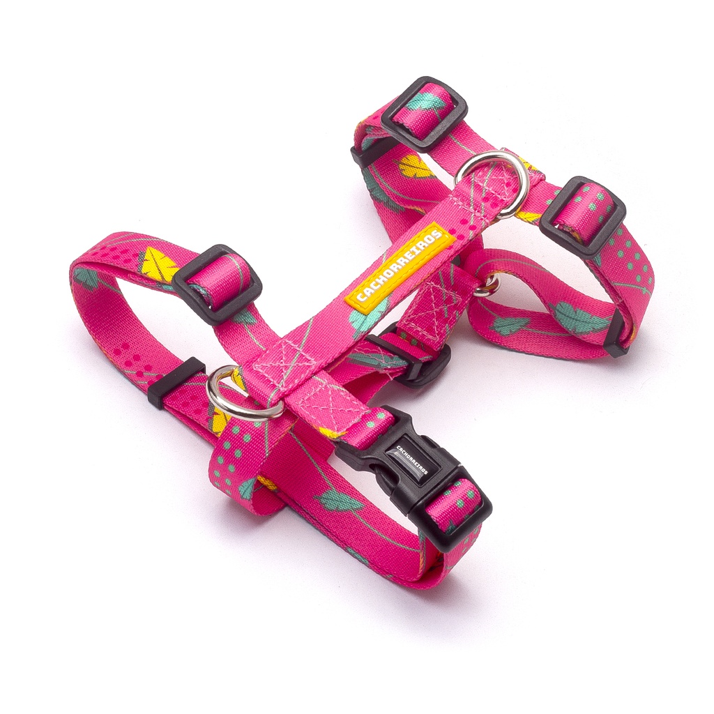 CACHORREIROS ARNES H OLIVIA TALLA PP - XS