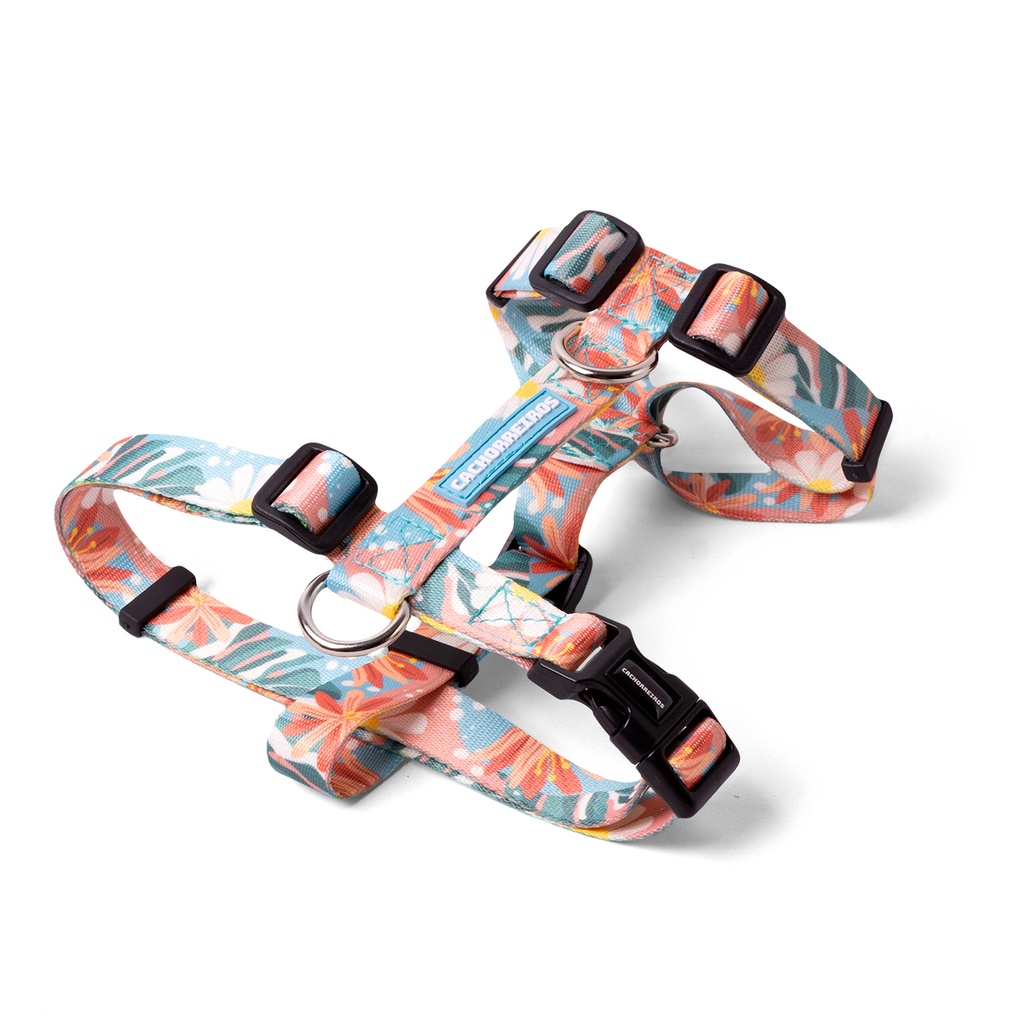 CACHORREIROS ARNES H FLORAL TALLA PP - XS