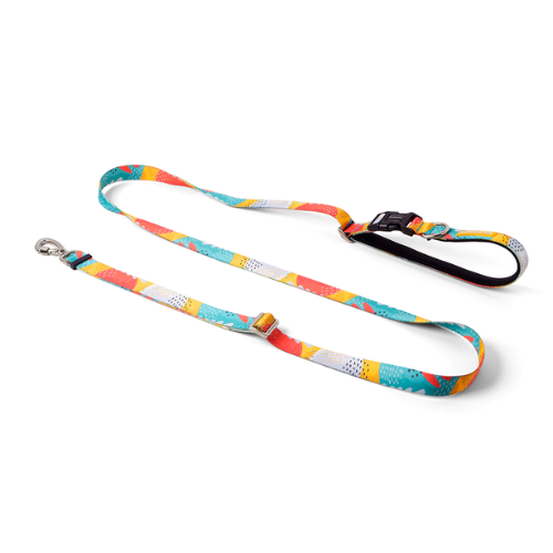 CACHORREIROS GUIA RUNNING CORREA RUNNING PITAYA