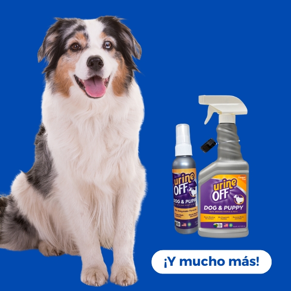 Perros / Eliminadores de Olor