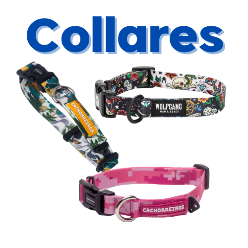 Perros / Accesorios / Collares
