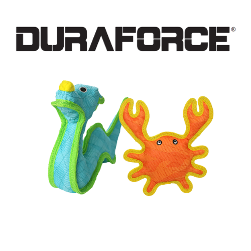Perros / Juguetes / DURAFORCE