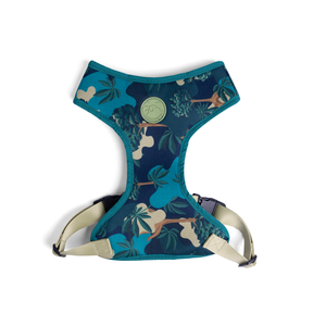 [CA-138] CACHORREIROS ARNES FLOW SAMAUMA TALLA GG - XL