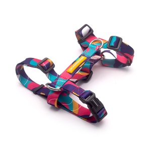 [CA-054] CACHORREIROS ARNES H DOGE TALLA G - L