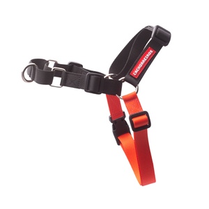 [CA-003] CACHORREIROS ARNES ANTITIRONES BLACK TALLA G - L