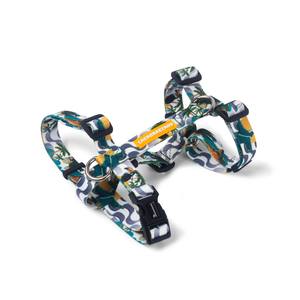 [CA-285] CACHORREIROS ARNES H RIO TALLA G (L)